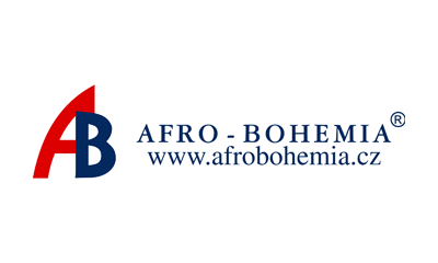 Afro Bohemia